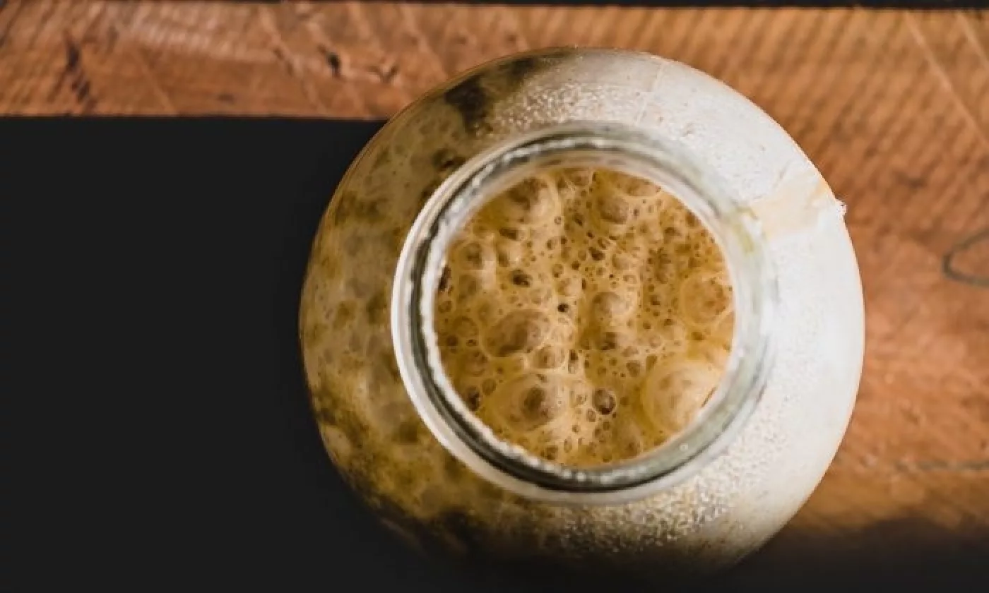 Image of Yeast as homemade fertilizer for flowering plants