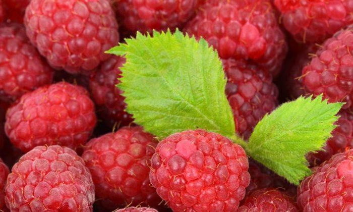 Raspberries