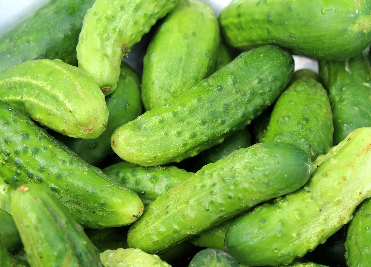 Cucumbers