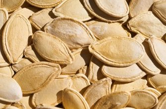 Pumpkin seeds