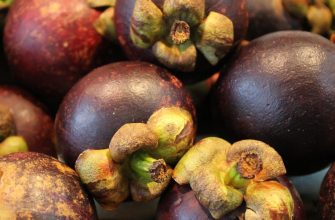 Mangosteen