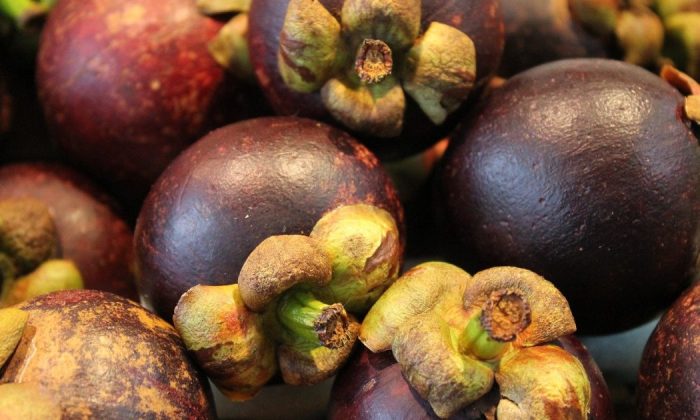 Mangosteen