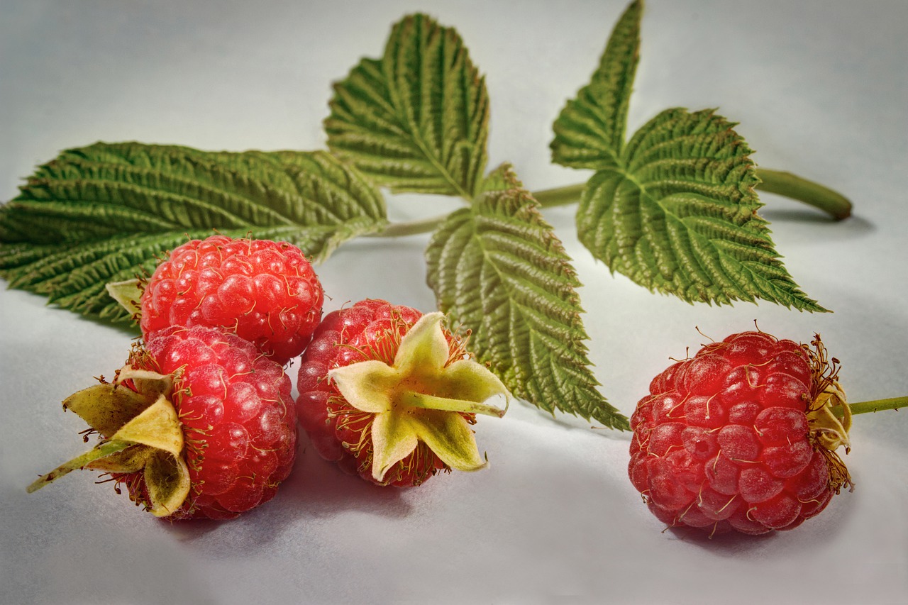 Raspberries 