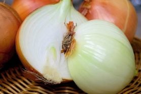 Onion