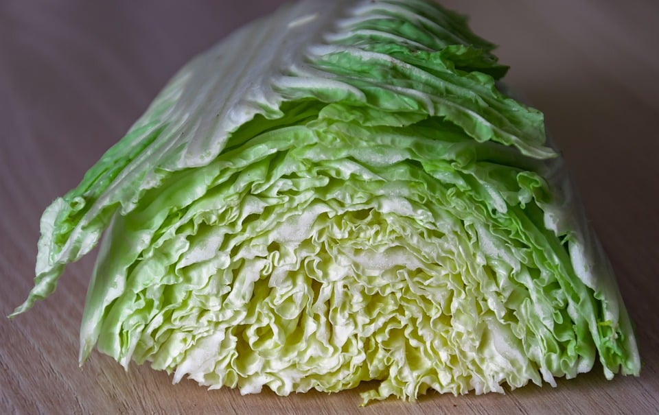 Cabbage