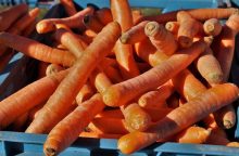 Carrots