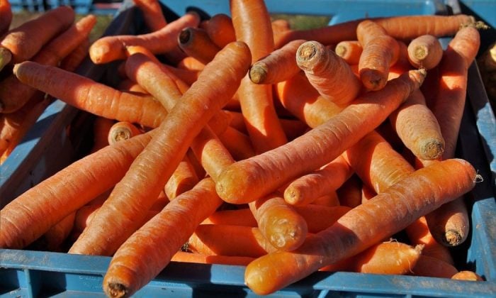 Carrots