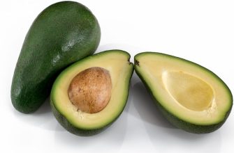 Avocado