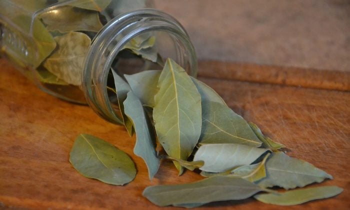 Bay leaf